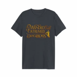 Fantastic Beasts Wanded Tshirt Dark Grey By Abysse
